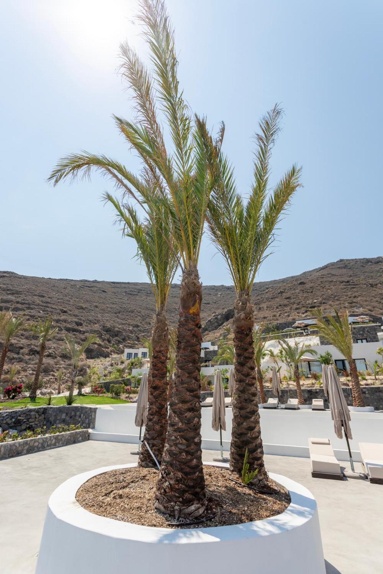 אימרוביגלי Palm Island Suites מראה חיצוני תמונה